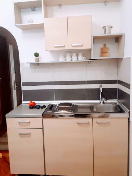 Central Spot Apartments 贝尔格莱德 外观 照片